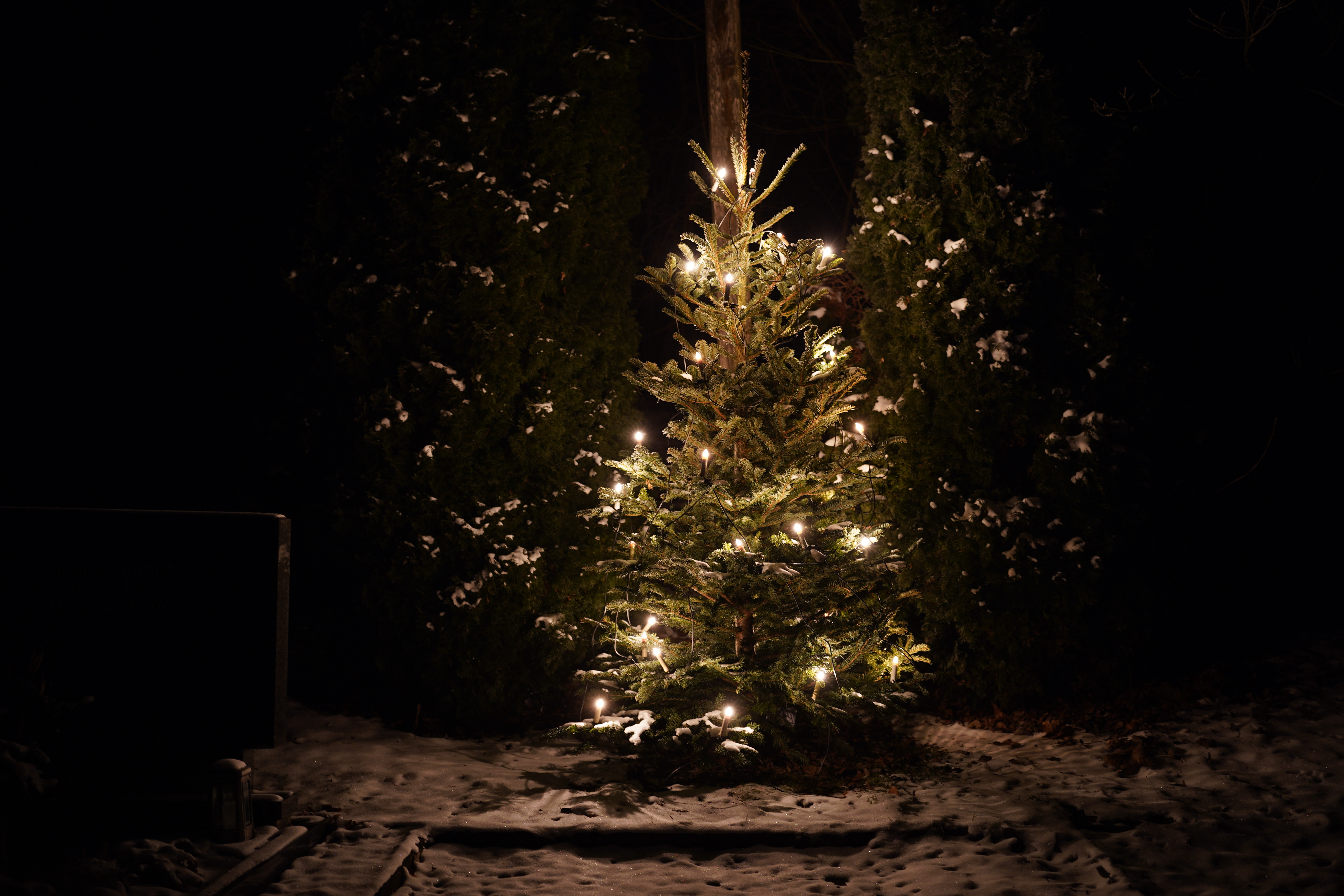 Weihnachtsbaum Friedhof