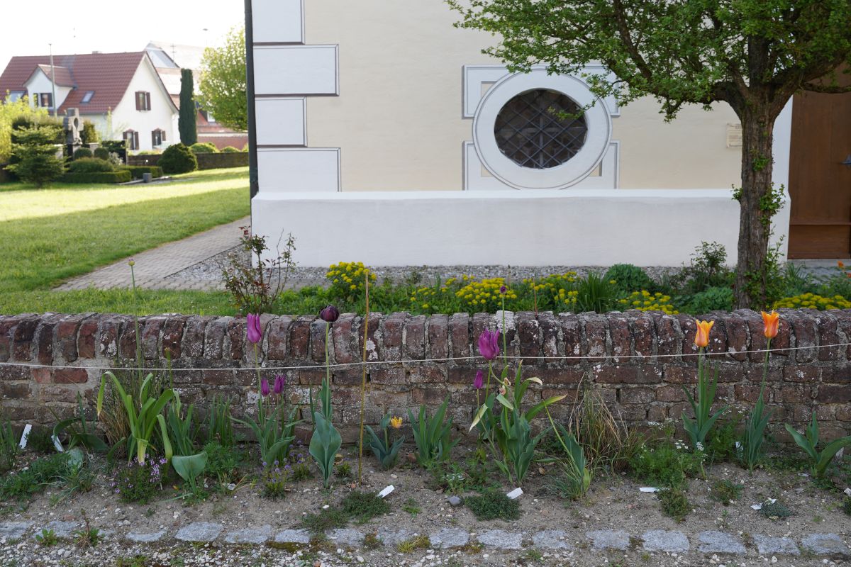 Rabatte Kirche Schießen