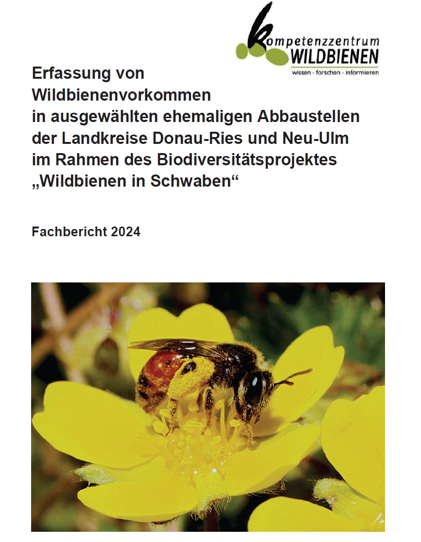 Studie Wildbienen